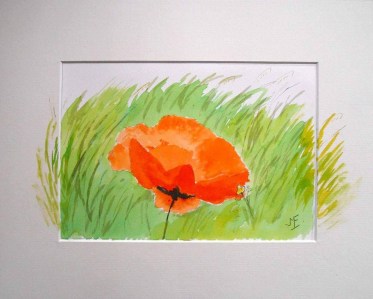 Jean-Marie Ferrer artiste peintre provence Le coquelicot