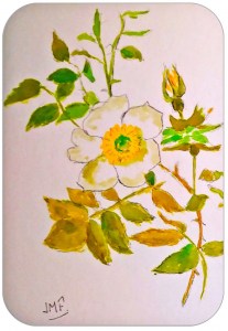 Jean Marie Ferrer artiste peintre de Provence, vente en ligne de cartes postales uniques au couleurs de la Provence. Série "Fête des mères"