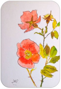 Jean Marie Ferrer artiste peintre de Provence, vente en ligne de cartes postales uniques au couleurs de la Provence. Série "Fête des mères"