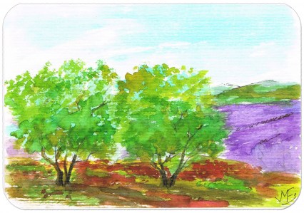 Artiste peintre de Provence, vente de tableaux. CAMAÎEU DE FLEURS